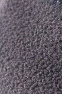 Джинси на флісі дитячі